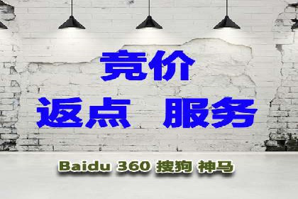 某电商平台的SEM策略与效果展示